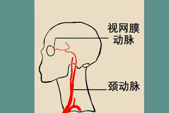 未标题-1.jpg