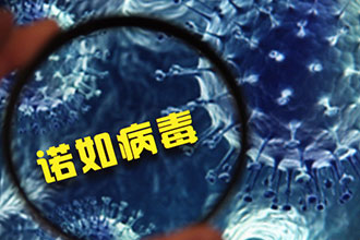 图虫创意-637541500883435574.jpg