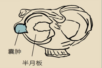 图虫创意-248392570283229377.jpg