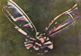 135357470_14631290000971n_副本.png