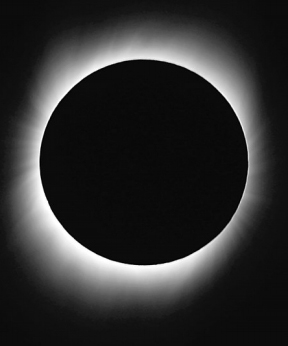 44371248895241781.jpg
