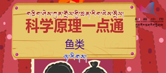 未标题-1.jpg