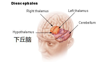 微信截图_20200719134000.png