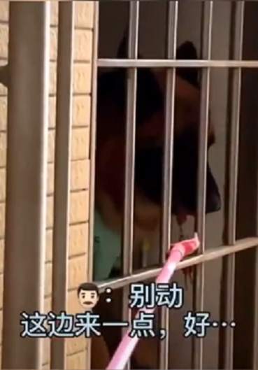 △图片来源：抖音@糯米的趣味生活