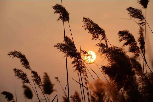 祝勇:苏东坡到死也未能实现的约定