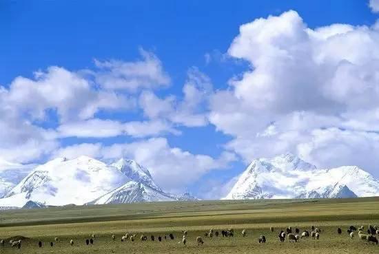 可可西里和鼓浪屿列入世界遗产,你了解多少?