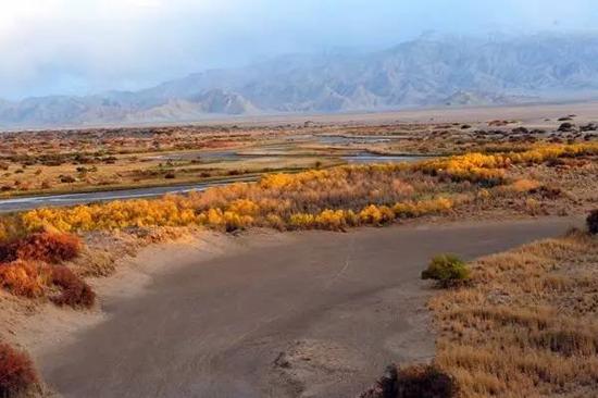 可可西里和鼓浪屿列入世界遗产,你了解多少?