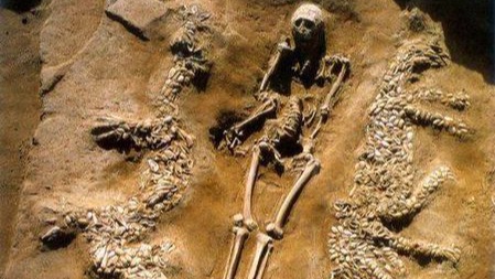 个人挖墓叫盗墓，国家挖墓叫考古？的头图