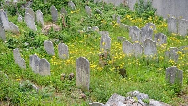 世界上那些通过在线地图发现的神秘墓地！的头图