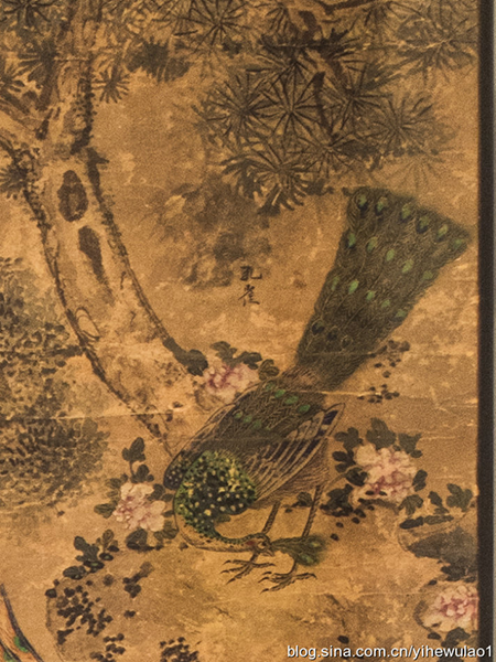 明朝补子样图--孔雀