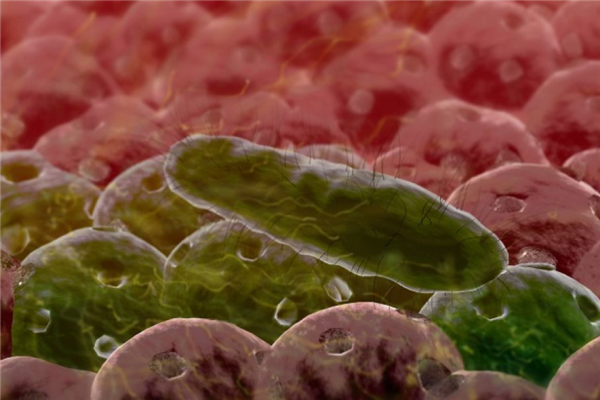 这是一篇有味道的文章——10个关于放屁的事实