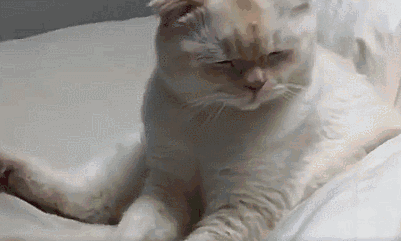 身为起床困难户，你到底需要睡多久