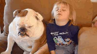 身为起床困难户，你到底需要睡多久