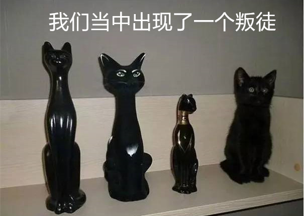 听说今天十几度，真的不用穿秋裤？