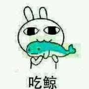 又快到狂犬高发季,是时候祭出这篇文章了