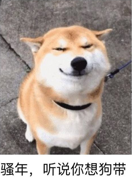 又快到狂犬高发季,是时候祭出这篇文章了