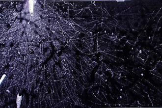 关于暗物质，中子的死亡能告诉我们什么呢？