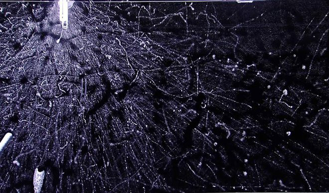 关于暗物质,中子的死亡能告诉我们什么呢?