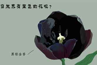 未标题-1.jpg