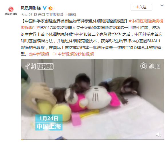 体细胞克隆猴-responsive 体细胞克隆猴