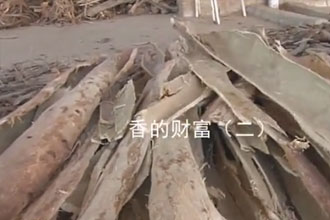 未标题-1.jpg