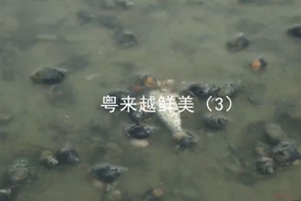 未标题-1.jpg